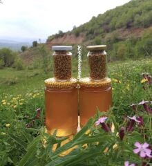 SÜZME BAL (KARS IĞDIR ARDAHAN BÖLGESİ)