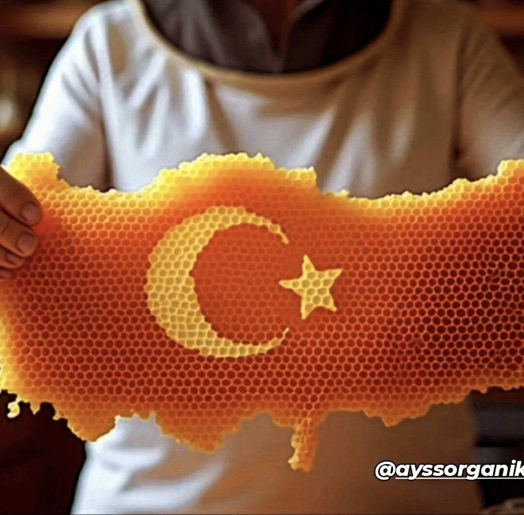 PETEK BAL ( KARS IĞDIR ARDAHAN BÖLGESİ)