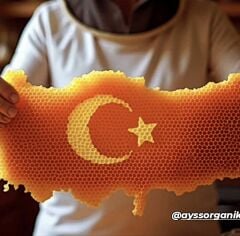 PETEK BAL ( KARS IĞDIR ARDAHAN BÖLGESİ)