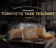 KARS GRAVİYER PEYNİRİ..