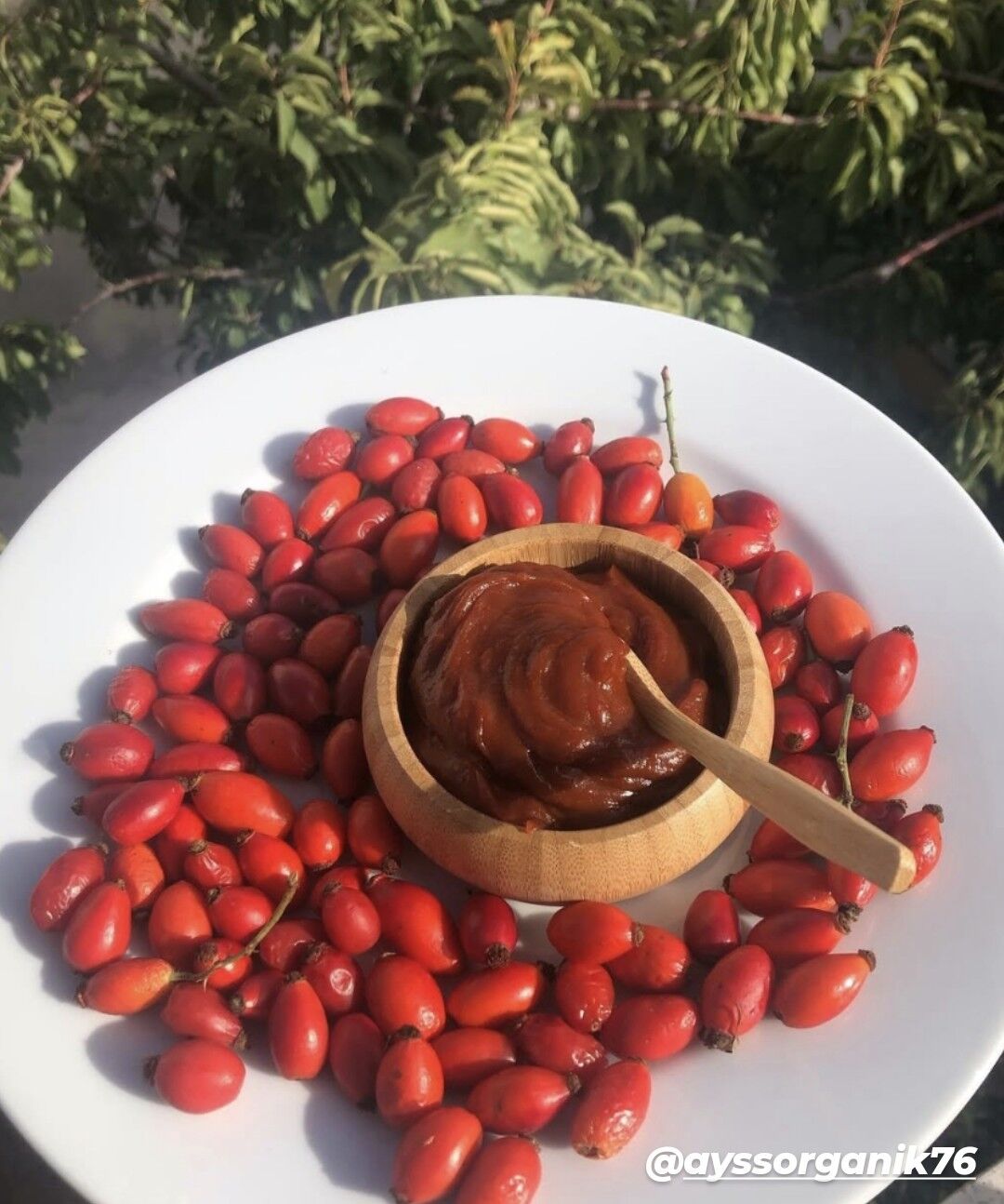 Kuşburnu Marmelat ve Kurusu