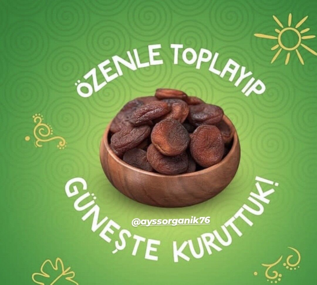 Kaysı Kurusu Iğdır/Malatya