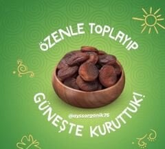 Kaysı Kurusu Iğdır/Malatya